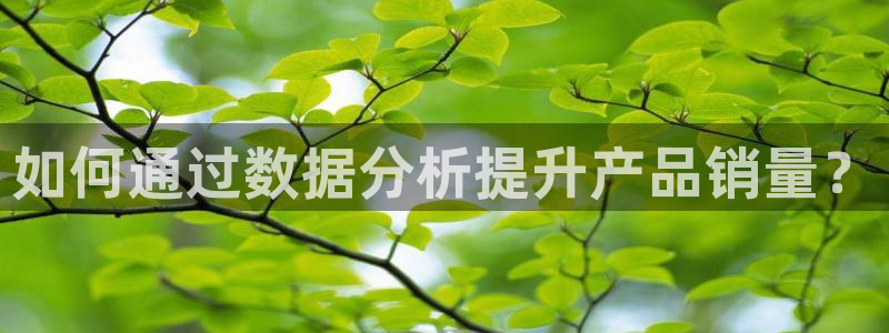 必赢网站是多少啊