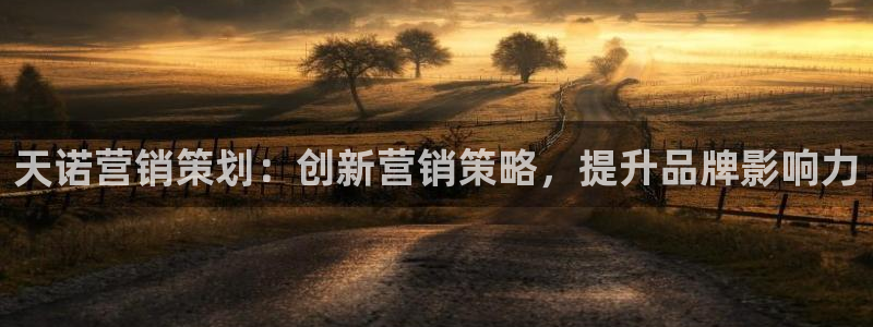 9965必赢游戏特色