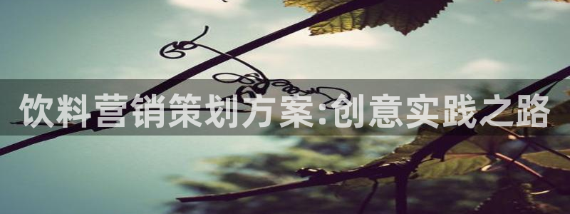 必赢官网网站入口