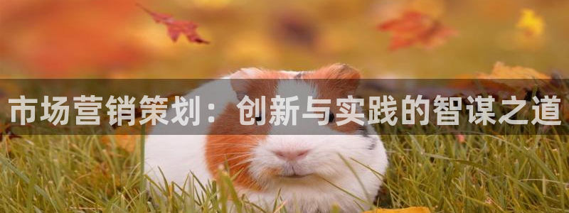 必赢亚赢网站官网下载安卓手机