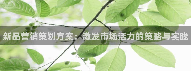 必赢九五