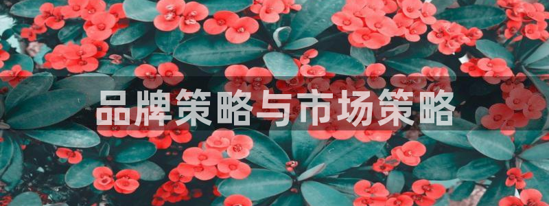 必赢线上网址查询