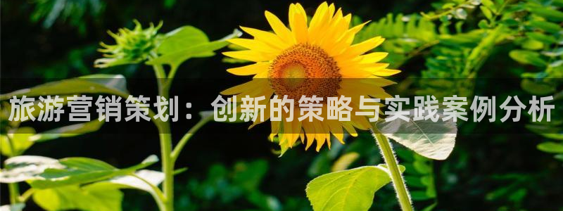 必赢手机app下载安装