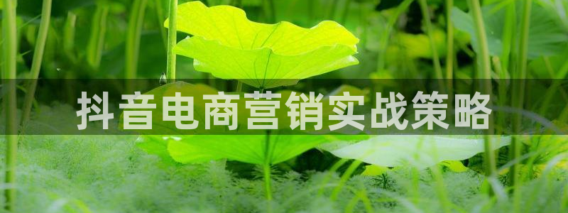 必赢下载安卓版最新版