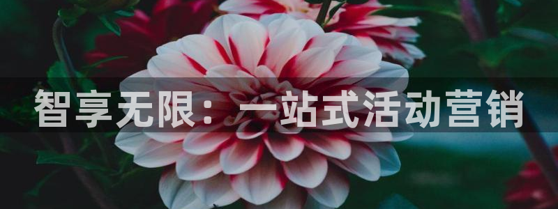 必赢官网app下载安装手机版苹果