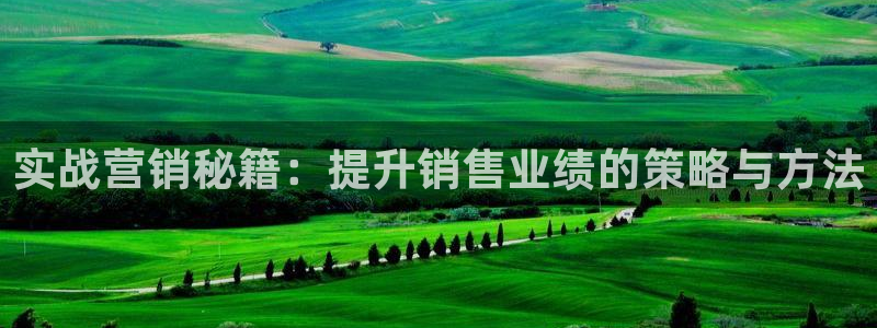 必赢网站是哪一个公司的
