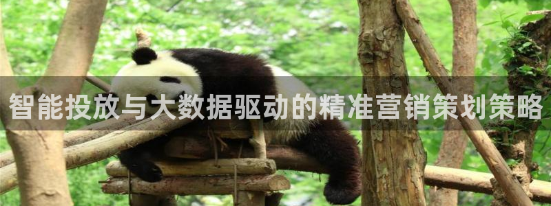必赢平台怎么样可靠吗