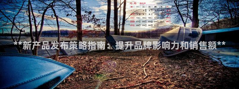 必赢平台网站多少