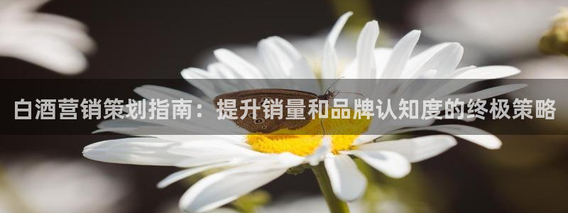 必赢bwinapp