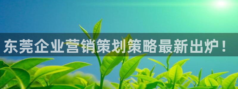 必赢437官网