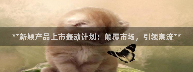 必赢手机app下载安装官网