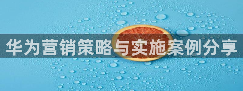 必赢官网入口下载安装