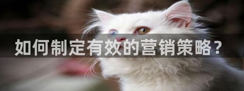 必赢app官方