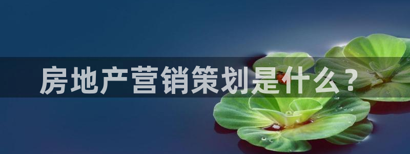 必赢官网app下载