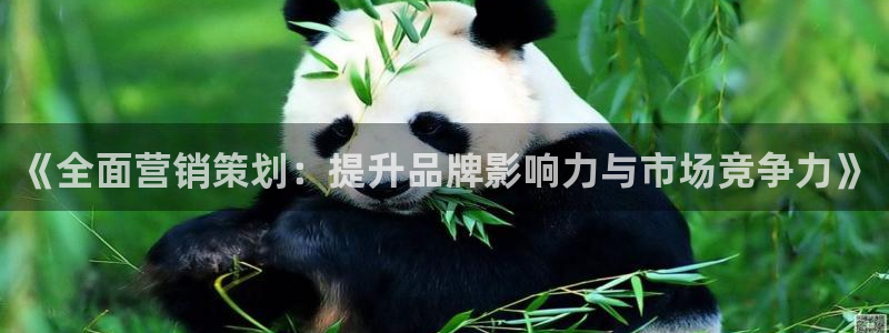 必赢平台官方网址