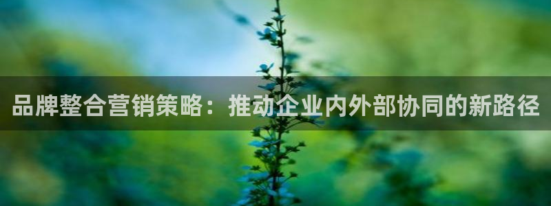 必赢手机版官网