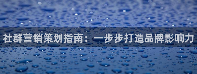 必赢手机版官网