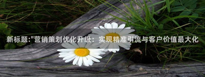 必赢集团怎么样