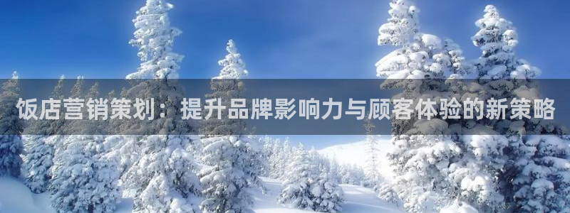 必赢平台官方客服电话