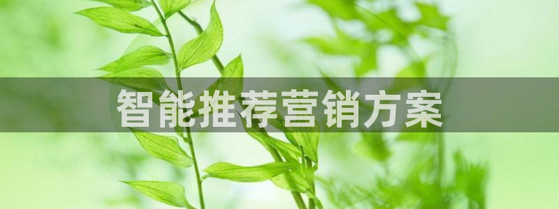 必赢下载