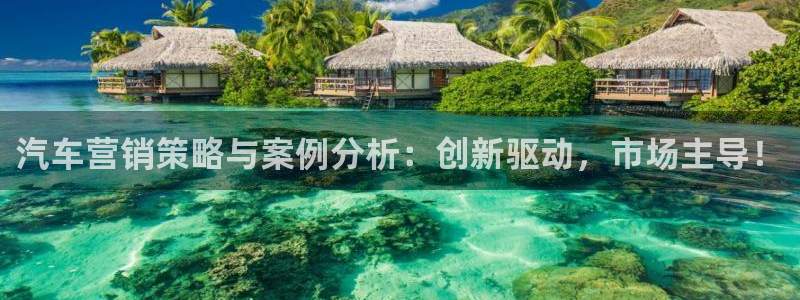 必赢平台电子