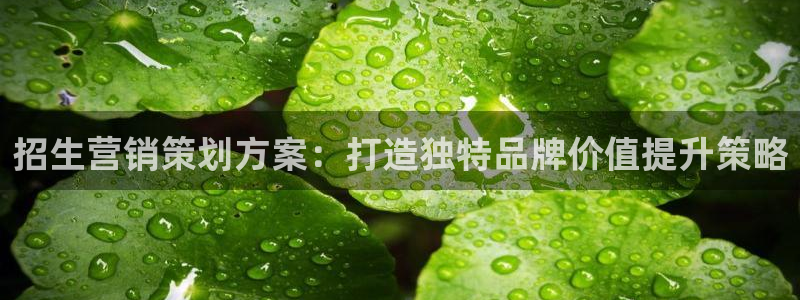 必赢app安卓版下载