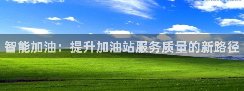 必赢3003手机网页版