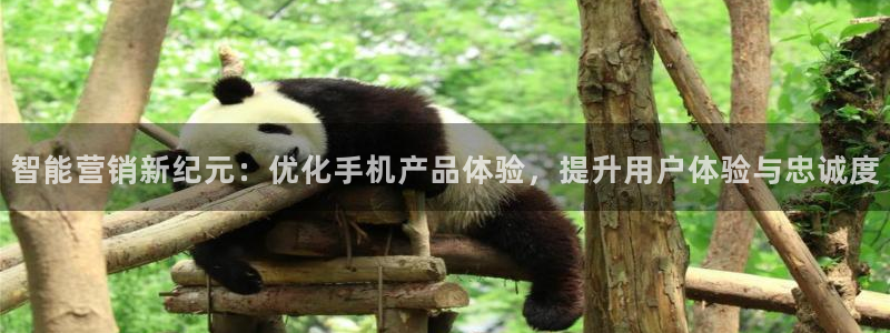 必赢网下载
