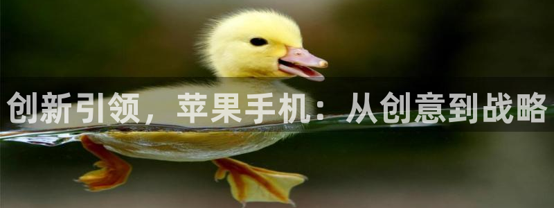 必赢官网入口下载安装苹果