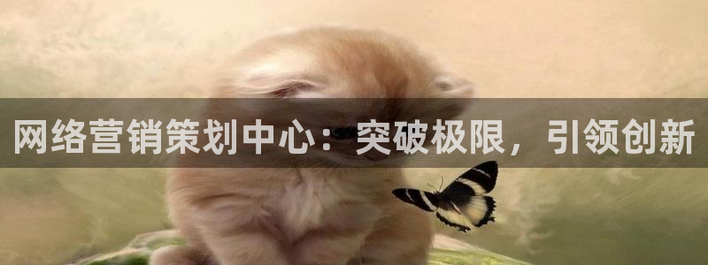 9965必赢游戏app大全