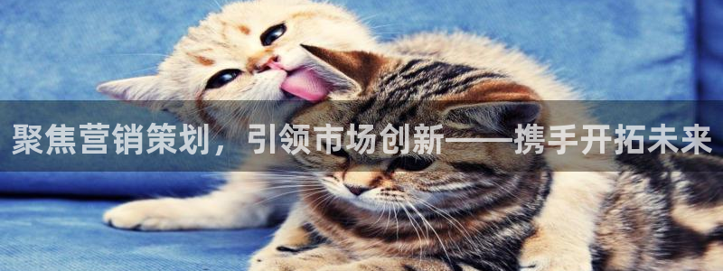 必赢这个软件怎么样