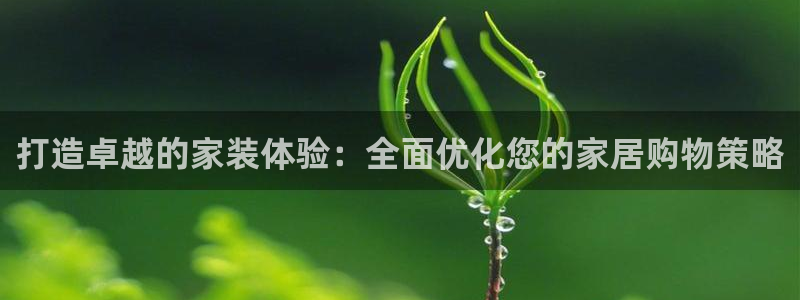 必赢集团怎么样