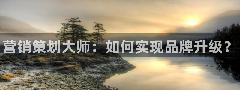 必赢网站是哪一个公司的