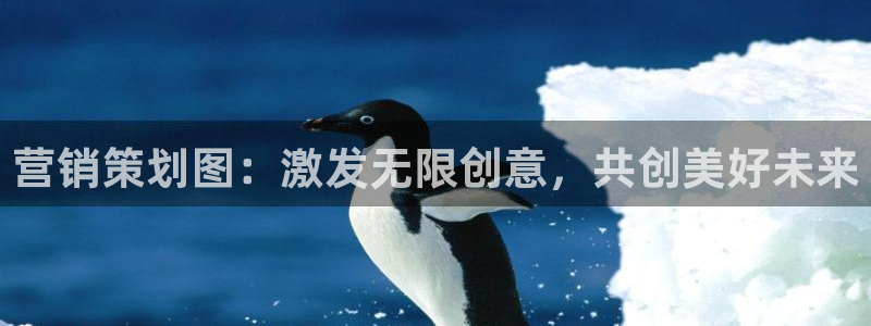 必赢网站打不开