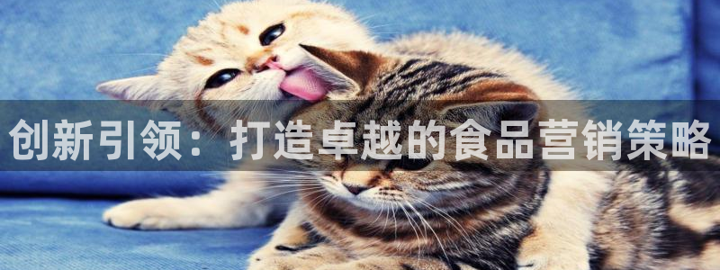 必赢账号
