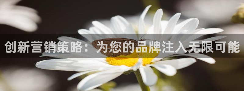 必赢3003 会员账号
