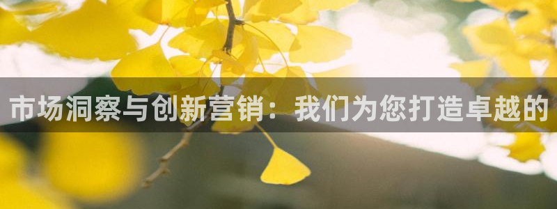 必赢线上网址