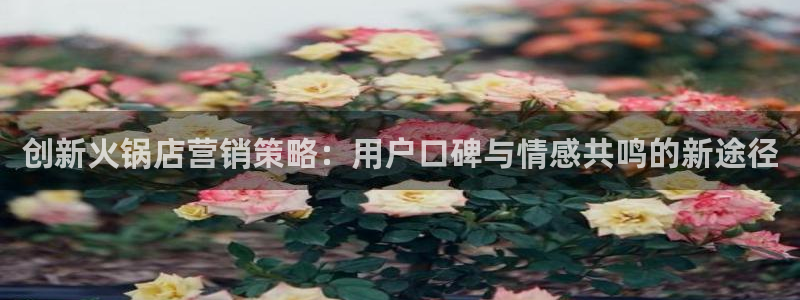 必赢线上网址查询：创新火锅店营