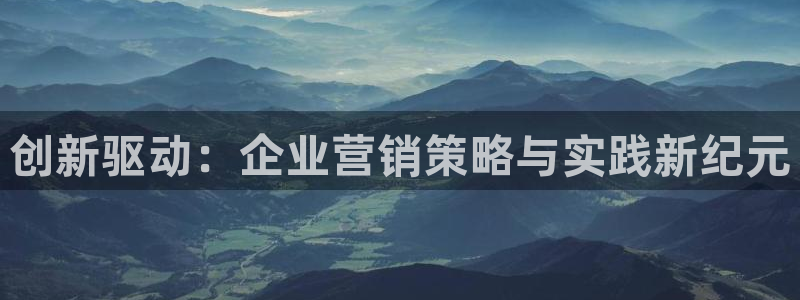 必赢九五：创新驱动：企业营销策