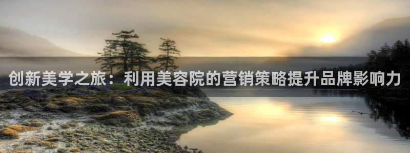 必赢国际游戏登录：创新美学之旅