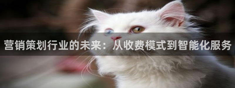 必赢集团winex