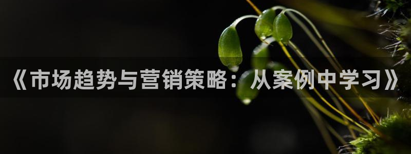 必赢抢红包网址：《市场趋势与营