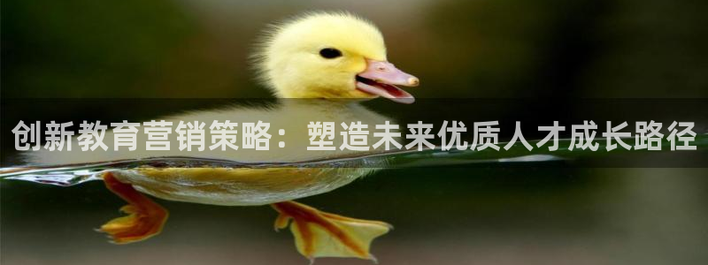 必赢手机版app下载官网