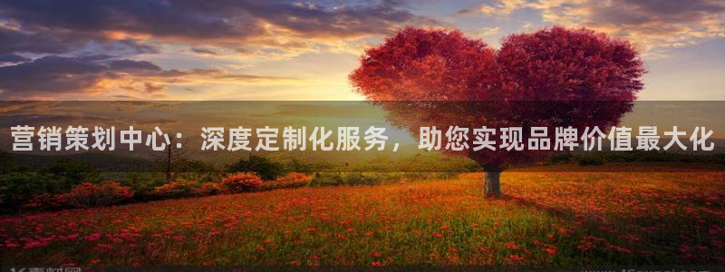 必赢app安卓版下载