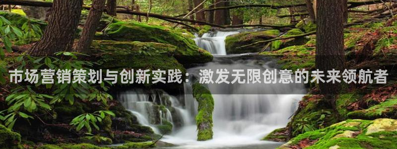 必赢下载苹果手机app