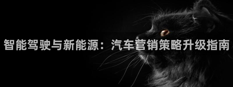 必赢官网网址8873
