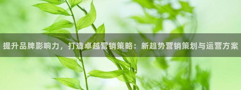 必赢国际软件下载