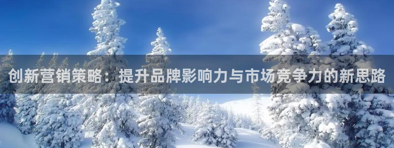 必赢国际437官方简介：创新营