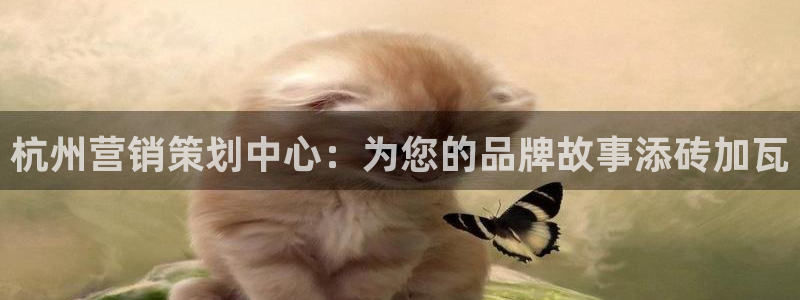 必赢官网网站入口网址