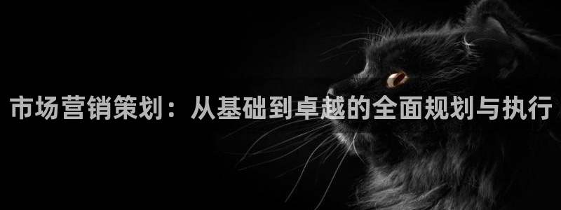 必赢网址手机主页打不开